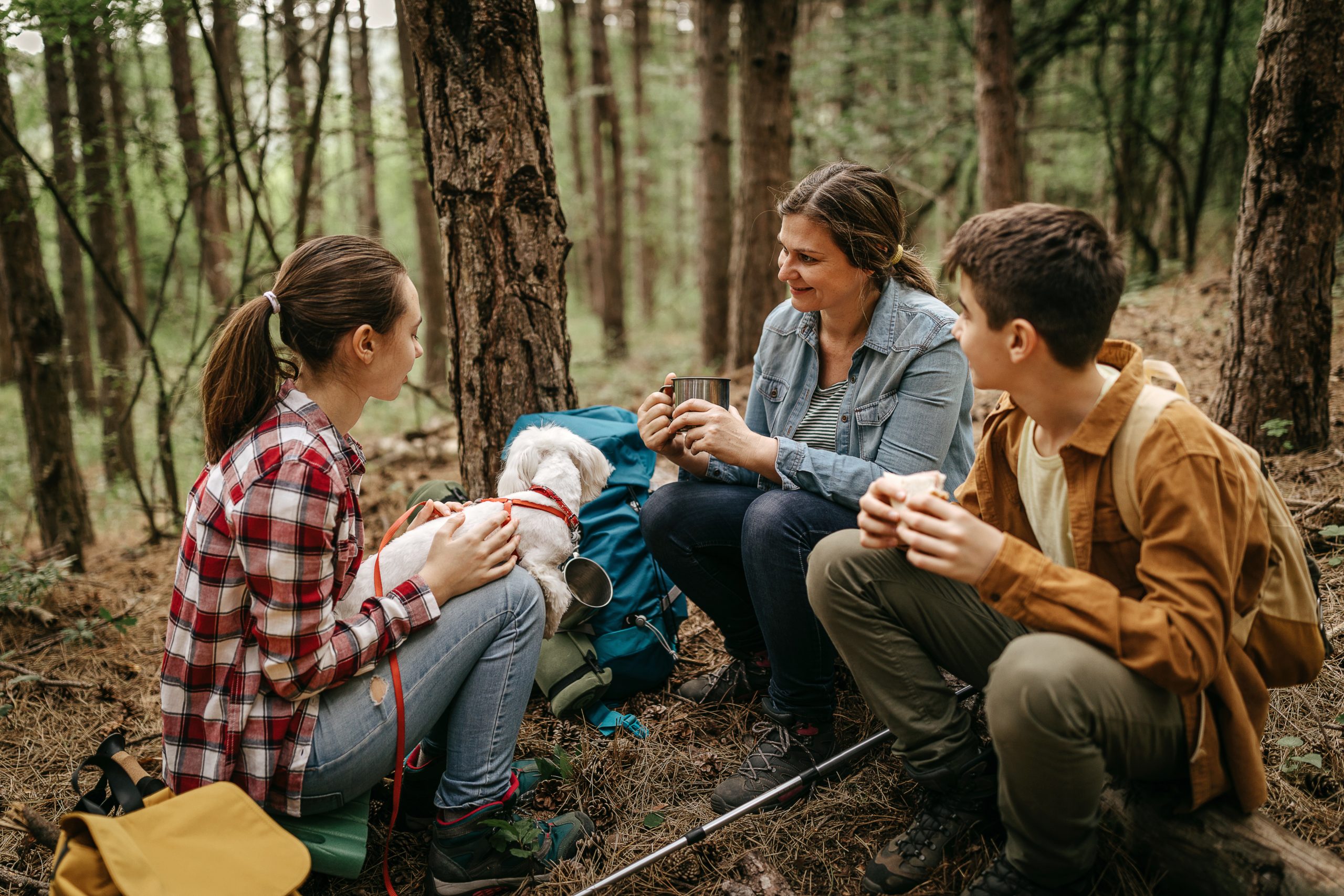 Family with pet dog relaxing while hiking at forest