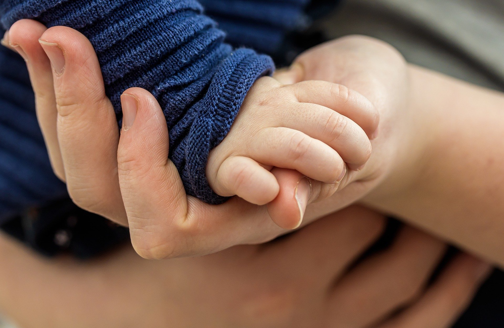 Toddler Holding Hand